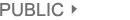 Public Item