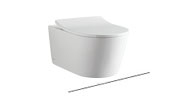 Toilet with concealed flush tank