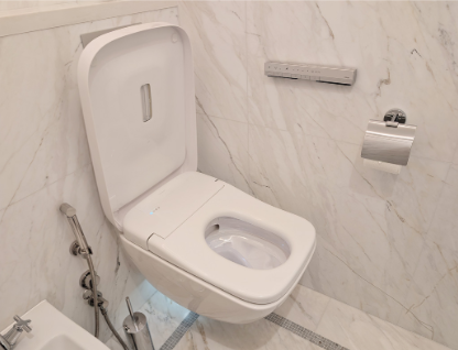 卫洗丽 RW是首款装配曲线型喷嘴的产品